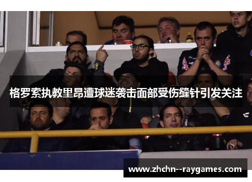 格罗索执教里昂遭球迷袭击面部受伤缝针引发关注
